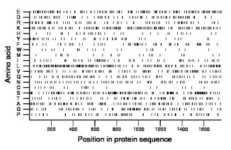 amino acid map