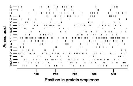 amino acid map