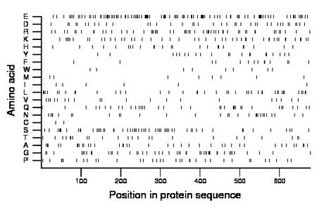 amino acid map