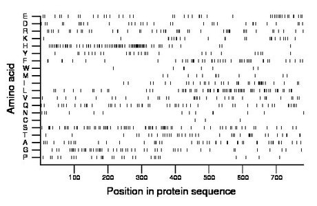 amino acid map