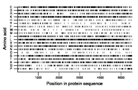 amino acid map