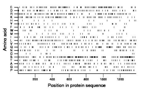 amino acid map