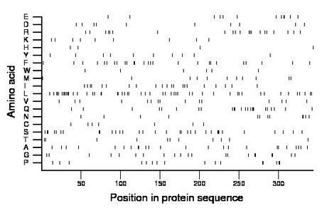 amino acid map