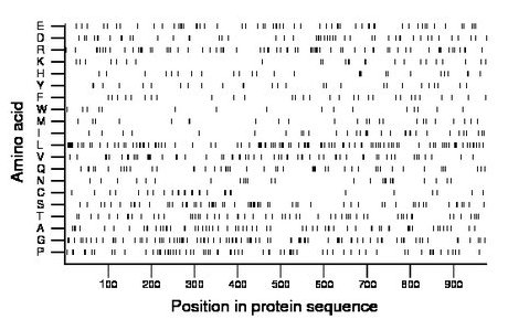 amino acid map