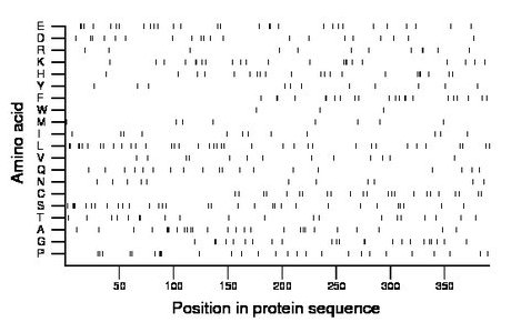 amino acid map