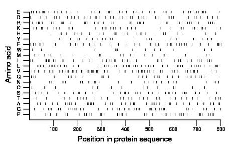 amino acid map