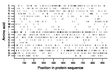 amino acid map