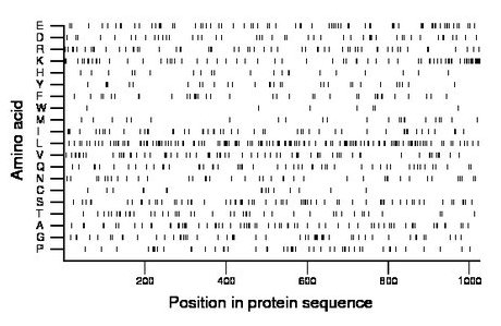 amino acid map