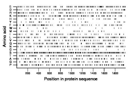 amino acid map