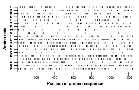 amino acid map