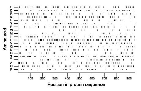 amino acid map