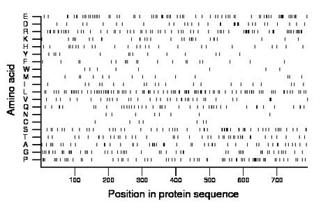 amino acid map