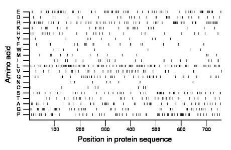 amino acid map