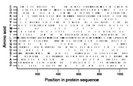 amino acid map