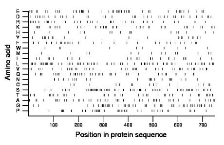 amino acid map