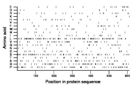 amino acid map