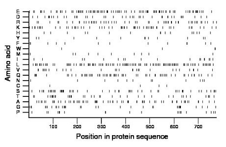 amino acid map