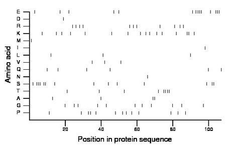 amino acid map