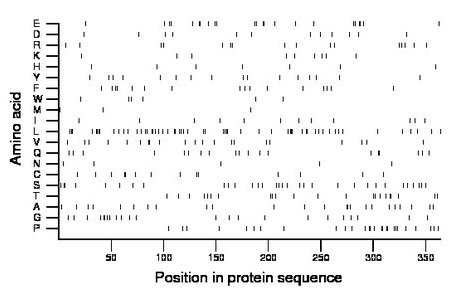 amino acid map