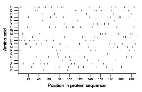 amino acid map