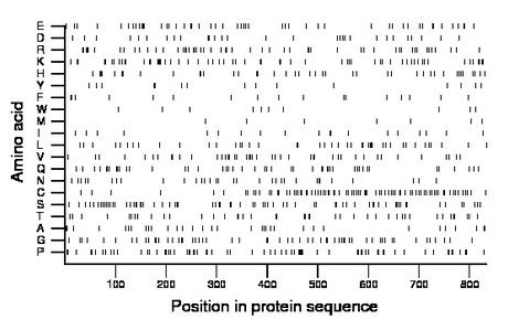 amino acid map