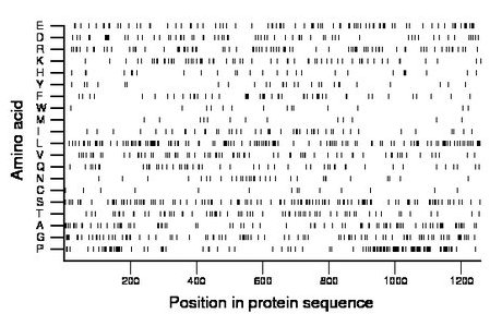 amino acid map