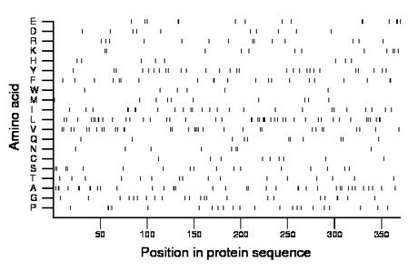 amino acid map