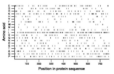 amino acid map