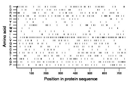 amino acid map