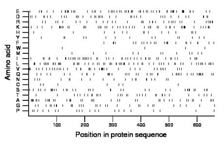 amino acid map