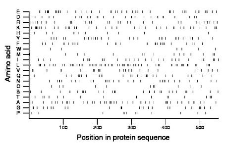 amino acid map