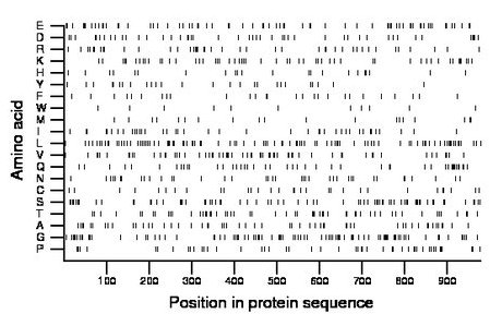 amino acid map