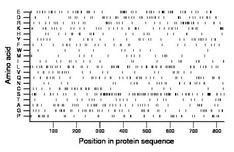 amino acid map