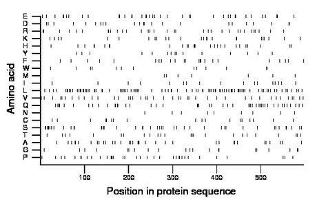 amino acid map