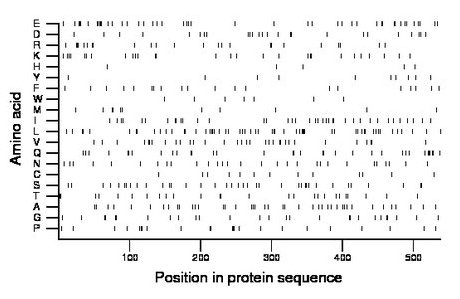 amino acid map