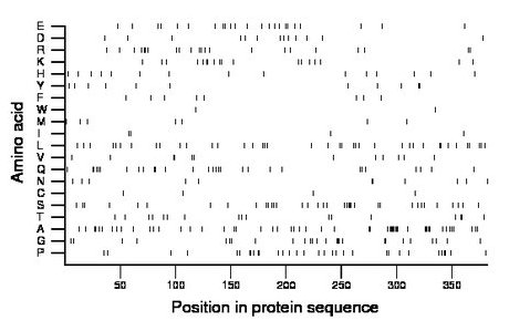 amino acid map