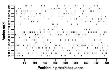 amino acid map