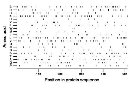 amino acid map