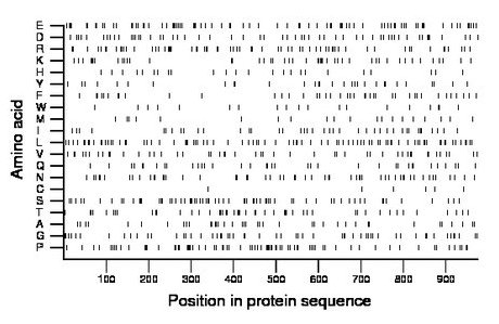 amino acid map