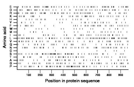 amino acid map