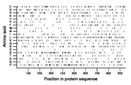 amino acid map