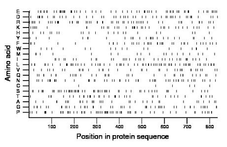 amino acid map