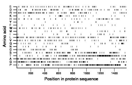 amino acid map