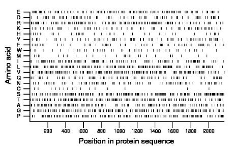 amino acid map