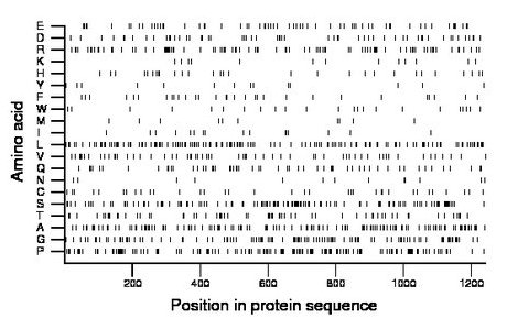 amino acid map