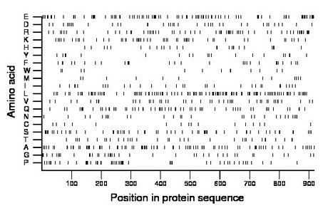 amino acid map