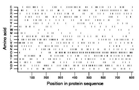 amino acid map