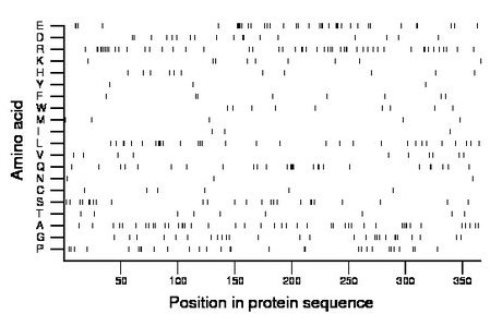 amino acid map