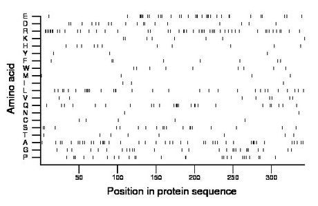 amino acid map