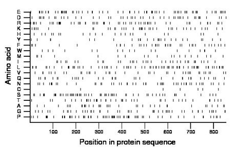 amino acid map